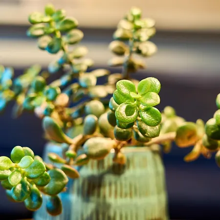 Charmante Fuer 2 Personen In Zentrumsnaehe X Parkplatz X Coworking-arbeitsplaetze Im Haus