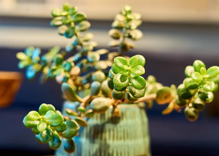 Charmante Fuer 2 Personen In Zentrumsnaehe X Parkplatz X Coworking-arbeitsplaetze Im Haus