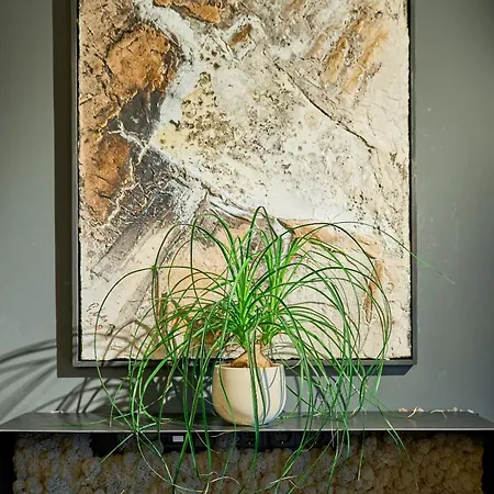 Apartamento Charmante Fuer 2 Personen In Zentrumsnaehe X Parkplatz X Coworking-arbeitsplaetze Im Haus Innsbruck